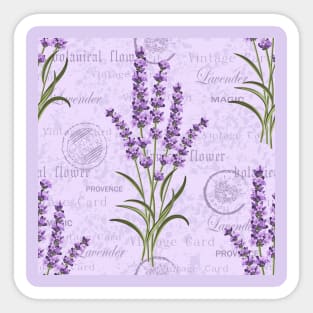 Lavender Blush Sticker